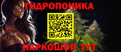 прущие грибы Ярцево