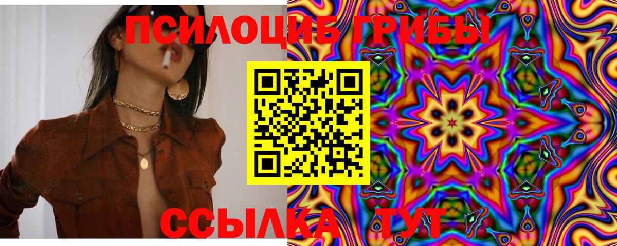 Псилоцибиновые грибы Psilocybine cubensis Новочеркасск