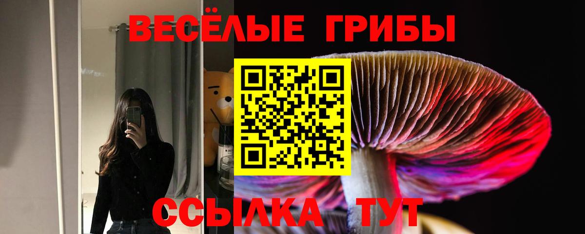 Новочеркасск  Псилоцибиновые грибы Psilocybe  Вход с VPN 