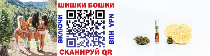 Конопля индика как найти Новочеркасск